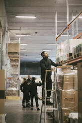 Männlicher Unternehmer, der auf einer Leiter steht, während er in einem Logistiklager Inventur macht - MASF21461