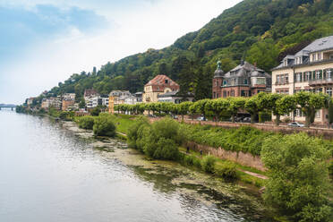 Deutschland, Baden-Württemberg, Heidelberg, Neckarufer und Häuser am Fluss im Stadtteil Neuenheim - TAMF02885