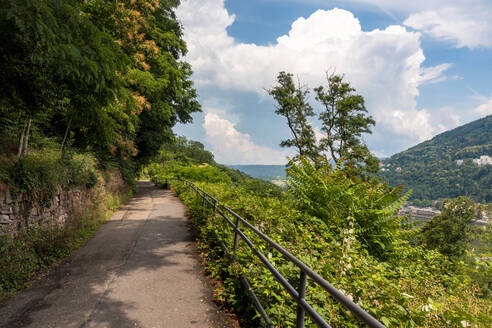 Deutschland, Baden-Württemberg, Heidelberg, Philosophenweg Fußweg in Neuenheim - TAMF02898