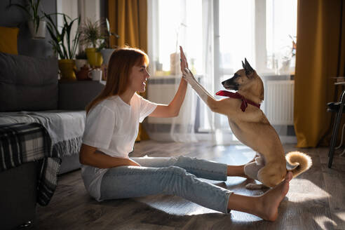 Excited woman giving high five to dog - CAVF92125