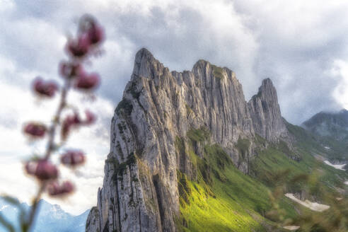 Majestätische Felswand der Saxer Lucke umrahmt von blühenden Blumen, Kanton Appenzell, Alpsteinkette, Schweiz, Europa - RHPLF19071