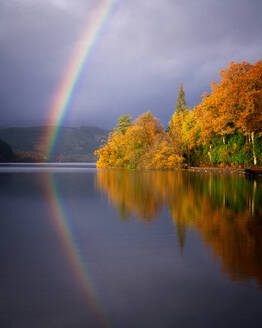 Herbst am Loch Ard, Trossachs, Schottland, Vereinigtes Königreich, Europa - RHPLF19106