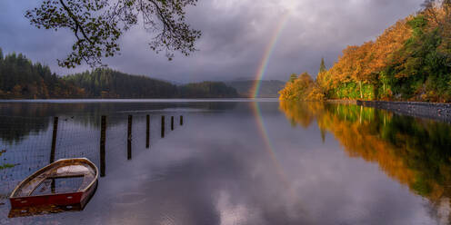 Herbst am Loch Ard, Trossachs, Schottland, Vereinigtes Königreich, Europa - RHPLF19107