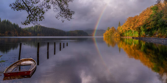 Herbst am Loch Ard, Trossachs, Schottland, Vereinigtes Königreich, Europa - RHPLF19107