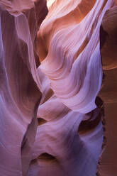 The colourful Navajo sandstone walls of Lower Antelope Canyon, sculpted by water into abstract patterns, Page, Arizona, United States of America, North America - RHPLF19119