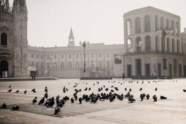 Tauben auf der ruhigen Piazza del Duomo während des Covid-19 Lockdown 2020, Mailand, Italien - CUF56739