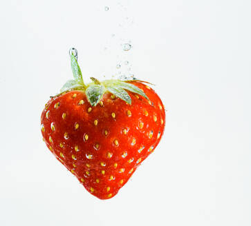Erdbeere fällt tief unter Wasser mit einem großen Spritzer. Obst sinkt in klarem Wasser auf weißem Hintergrund - CAVF92186