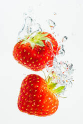 Erdbeere fällt tief unter Wasser mit einem großen Spritzer. Obst sinkt in klarem Wasser auf weißem Hintergrund - CAVF92188