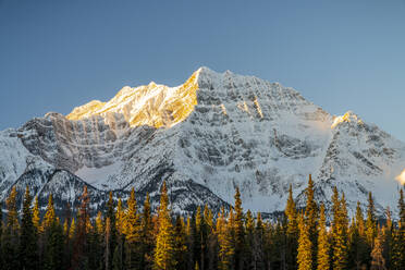 Mountain Sunrise Along Icefields Parkway Athabasca River - CAVF92200