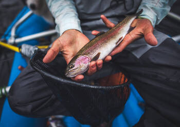 Man holding a rainbow trout outside of a net while in a boat - CAVF92286