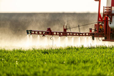 Traktor, der Dünger auf die Ernte in einem landwirtschaftlichen Betrieb streut - NOF00135