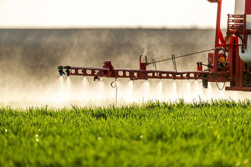 Tractor sprinkling fertilizer on crop in farm - NOF00135