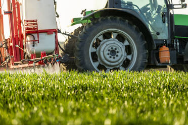 An einem Traktor angebrachte Feldspritze, die ein Insektizid auf die Pflanzen in einem landwirtschaftlichen Betrieb sprüht - NOF00141