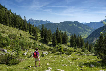 Älterer Wanderer mit Blick auf den Berg Schellenberg-Alm in Bayern, Deutschland - LBF03335