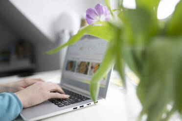 Unternehmerin mit Laptop an Tulpenpflanze am Tisch im Heimbüro - CHPF00744