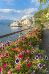 Blumen entlang der berühmten Promenade um Bellagio und den Comer See bei Sonnenuntergang, Provinz Como, Lombardei, Italienische Seen, Italien, Europa - RHPLF19134