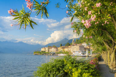 Bellagio and mountains seen from lakefront full of flowering plants, Lake Como, Como province, Lombardy, Italian Lakes, Italy, Europe - RHPLF19135