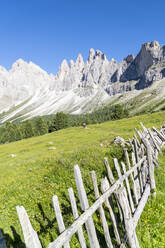 Holzzaun in den grünen Weiden der Malga Brogles mit der Geisler im Hintergrund, Val di Funes, Südtirol, Dolomiten, Italien, Europa - RHPLF19139