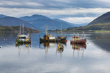 Fischerboote, Bucht von Ullapool, Ross und Cromarty, Highlands, Schottland, Vereinigtes Königreich, Europa - RHPLF19180