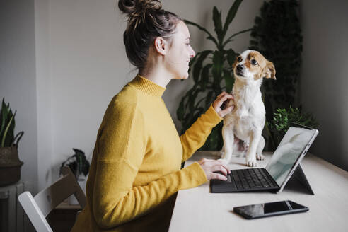 Lächelnde Frau, die mit ihrem Haustier spielt, während sie ein digitales Tablet benutzt und zu Hause sitzt - EBBF02434