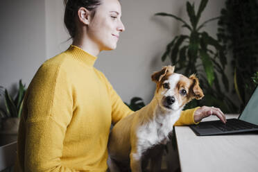 Young woman working on digital tablet while sitting with pet at home office - EBBF02438