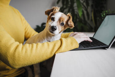 Woman sitting with pet while working on digital tablet at home office - EBBF02439