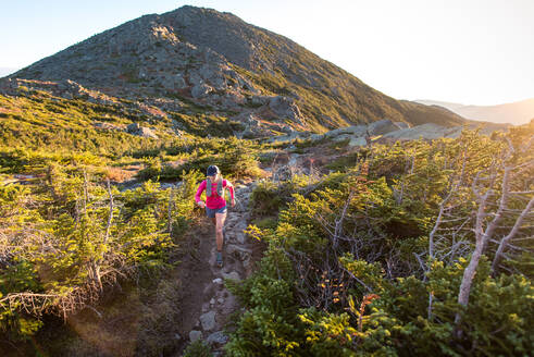 Frau beim Laufen in den White Mountains bei Sonnenaufgang im Sommer - CAVF92321