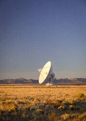 Very Large Array-Satellitenschüssel in New Mexico - CAVF92356
