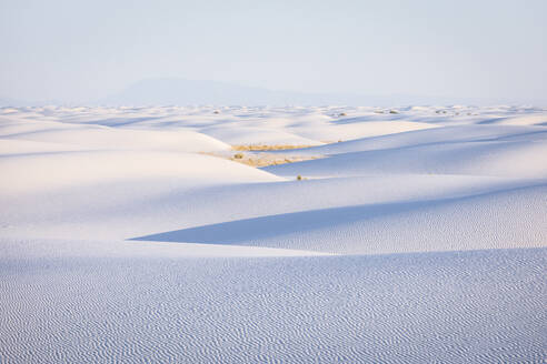 Sanddünen im White Sands National Park - CAVF92373