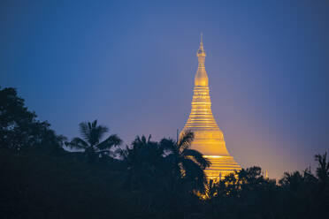 Distant view of gilded golden Shwedagon Pagoda rising above palm trees at night, Yangon, Yangon Region, Myanmar - CAVF92375