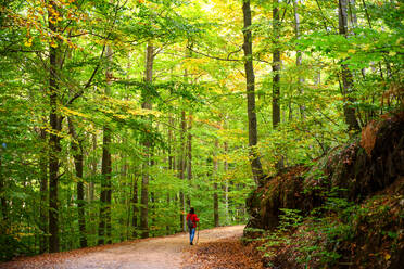 Rückansicht einer Rucksacktouristin beim Wandern im grünen Wald - CAVF92495