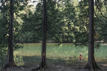 A young man wades into the Ohanapecosh River in Washington. - CAVF92515