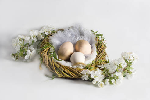 Design mit gold bemalten Eiern im Nest, auf weißem Hintergrund - CAVF92520