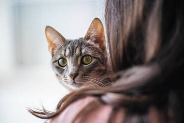 Detail shot of woman holding a cat that looks at camera - CAVF92558