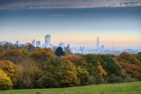 Waldgebiet auf der Hampstead Heath im Herbst und Skyline des Finanzbezirks der City of London, Highgate, London, England, Vereinigtes Königreich, Europa - RHPLF19251
