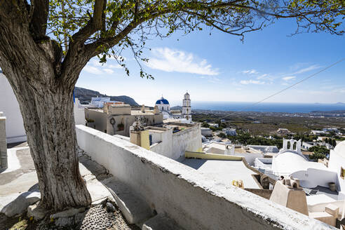 Whitewashed architecture in Pyrgos, Santorini, Cyclades, Greek Islands, Greece, Europe - RHPLF19254