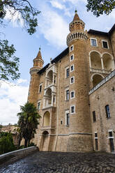 Palazzo Ducale di Urbino, Urbino, UNESCO-Weltkulturerbe, Marken, Italien, Europa - RHPLF19295