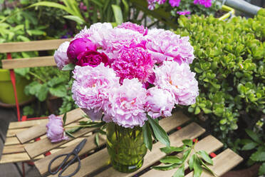 Vase mit rosa blühenden Pfingstrosen - GWF06893