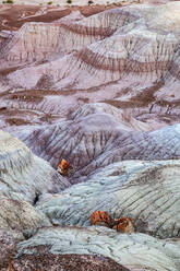 Schöne natürliche Felsformation im Petrified Forest National Park, Arizona, USA - NDF01245