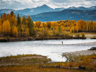 Ein Fliegenfischer wirft im Herbst im Schlangenfluss in Wyoming - CAVF92713