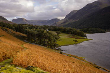 Countryside road through Lake District National Park - CAVF92734