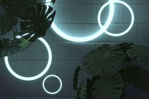 Silhouette plants against illuminated circle shape lights on brick wall - NMCF00031