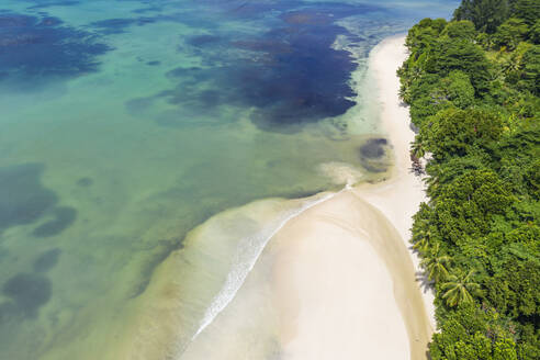 Seychelles, Praslin Island, Aerial view of Anse Lazio sandy beach with crystal clear turquoise ocean - RUEF03173