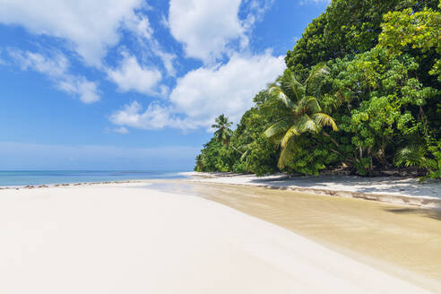 Seychelles, Praslin Island, Anse Lazio sandy beach with palm trees - RUEF03185