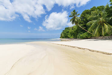 Seychellen, Insel Praslin, Anse Lazio Sandstrand mit Palmen - RUEF03188
