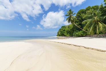 Seychelles, Praslin Island, Anse Lazio sandy beach with palm trees - RUEF03188