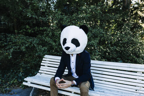 Mid adult businessman wearing panda mask sitting on bench at public park - XLGF01165