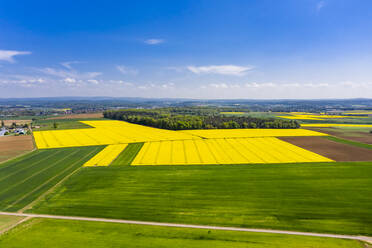 Deutschland, Hessen, Munzenberg, Blick aus dem Hubschrauber auf grüne und gelbe Felder im Sommer - AMF09089