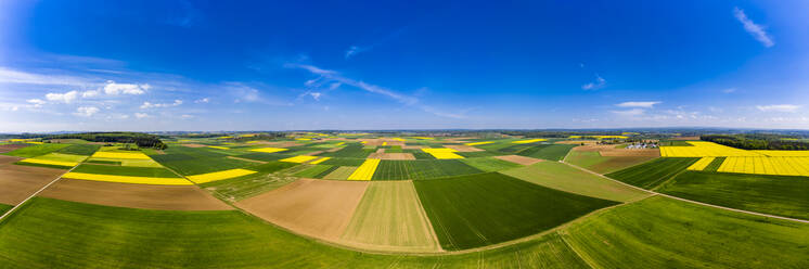 Germany, Hesse, Munzenberg, Helicopter panorama of green and yellow countryside fields in summer - AMF09090