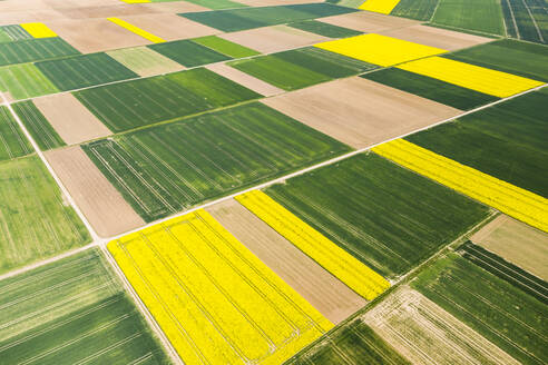Deutschland, Hessen, Munzenberg, Blick aus dem Hubschrauber auf grüne und gelbe Felder im Sommer - AMF09091